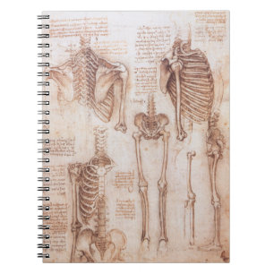 Caderno Espiral Anatomia humana Ossos do Esqueleto de Leonardo da