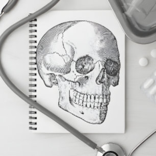 Caderno Espiral Anatomia médica desenho do crânio de colheita mono