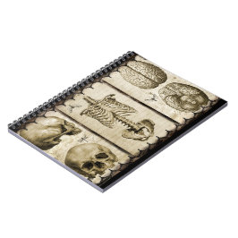 Caderno Espiral Anatomize