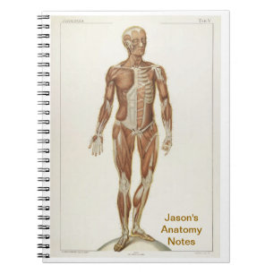 Caderno Espiral Anatomy Anterior