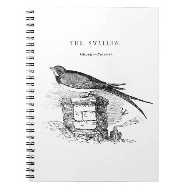 Caderno Espiral Andorinha vintage pássaro (Frente)
