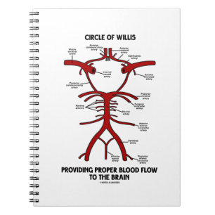 Caderno Espiral Anél do Willis que fornece o cérebro apropriado