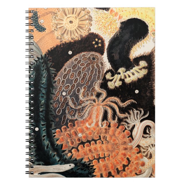 Caderno Espiral Anêmonas de recife de barreira (Frente)