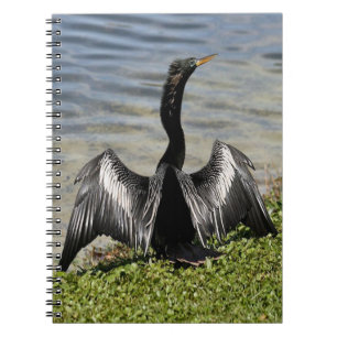 Caderno Espiral Anhinga Bird Notebook