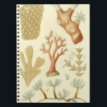 Caderno Espiral Animais de Coral Vintage, Biologia do Livro de Ciê<br><div class="desc">Ilustração da safra design de animais marinhos vivos apresentando uma variedade de corais submarinos. Ilustrações de Jean Gabriel Pretre do Dicionário D'Histoire Naturelle de Charles Orbigny. 1849 O grupo inclui os importantes construtores de recifes que habitam oceanos tropicais e secretam carbonato de cálcio para formar um esqueleto de duro. A...</div>