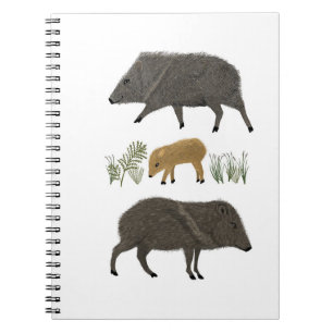 Caderno Espiral Animais do Deserto do Retrato da Família Javelina