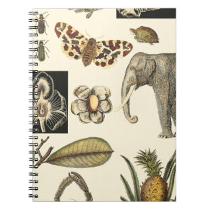 Caderno Espiral Animais Partilhados Pintados em Fundo de Creme