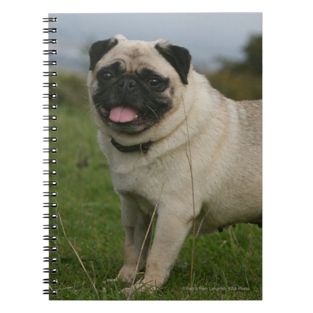 Caderno Espiral Ânsia do Pug (Frente)
