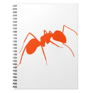 Caderno Espiral Ant Laranja