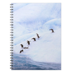 Caderno Espiral Antártida, Península Antártica. Pinguim-de-barbich