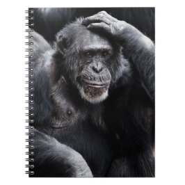 Caderno Espiral Antigo notebook Chimpanzé