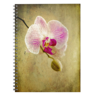 Caderno Espiral Antiguidade envelhecida da orquídea flor floral
