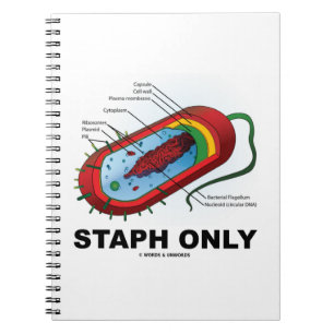 Caderno Espiral Apenas Estafilococo (Bactérias Procariotas)