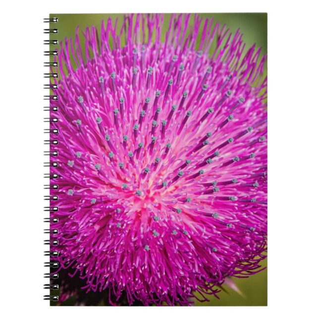 Caderno Espiral Aperto do caroço do leite (Frente)