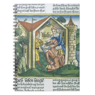 Caderno Espiral Apócrifo: Tobit é cegado pelo excremento do pard