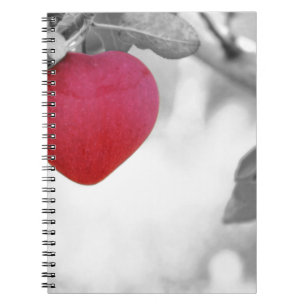 Caderno Espiral Apple