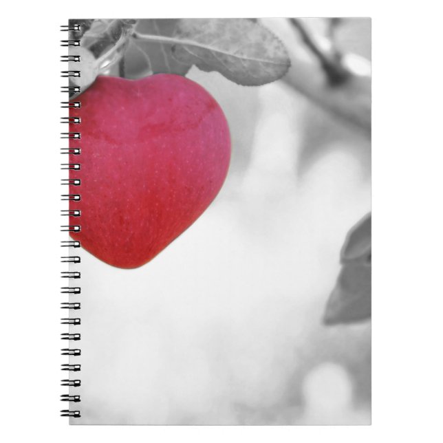 Caderno Espiral Apple (Frente)