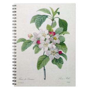 Caderno Espiral Apple floresce, 'do DES de Les Choix mais Belles