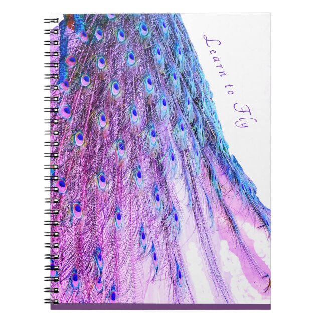 Caderno Espiral Aprenda voar (Frente)