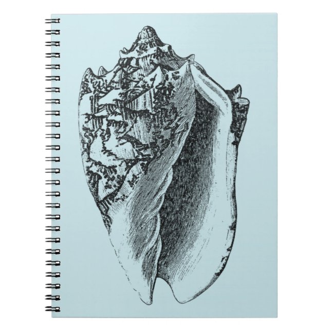 Caderno Espiral Aqua Conch Shell (Frente)