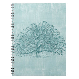 Caderno Espiral Aqua Peacock