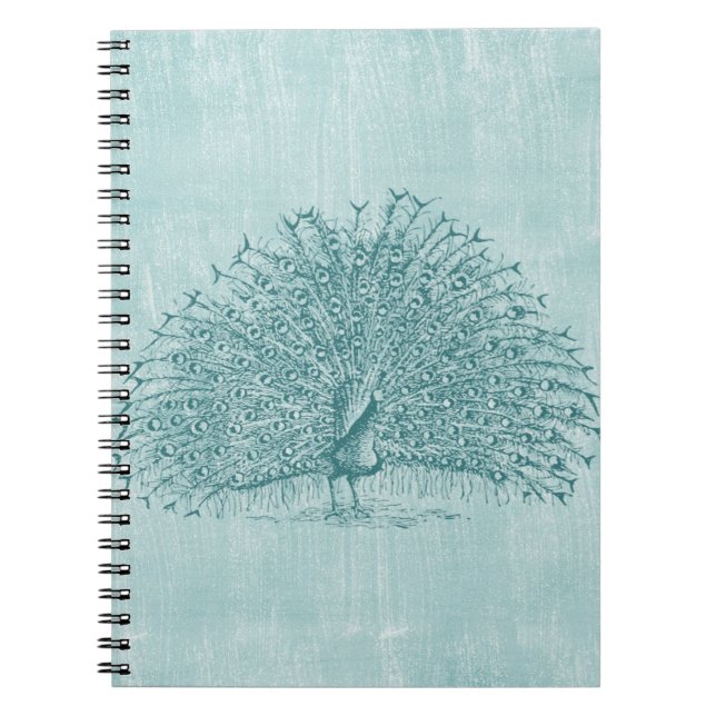 Caderno Espiral Aqua Peacock (Frente)