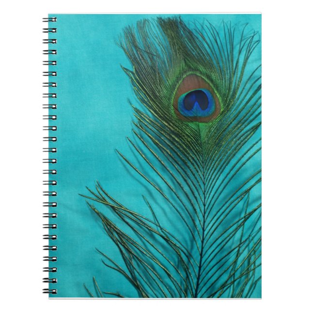 Caderno Espiral Aqua Peacock Feather (Frente)