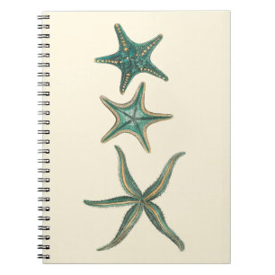 Caderno Espiral Aquamarine Triple Starfish