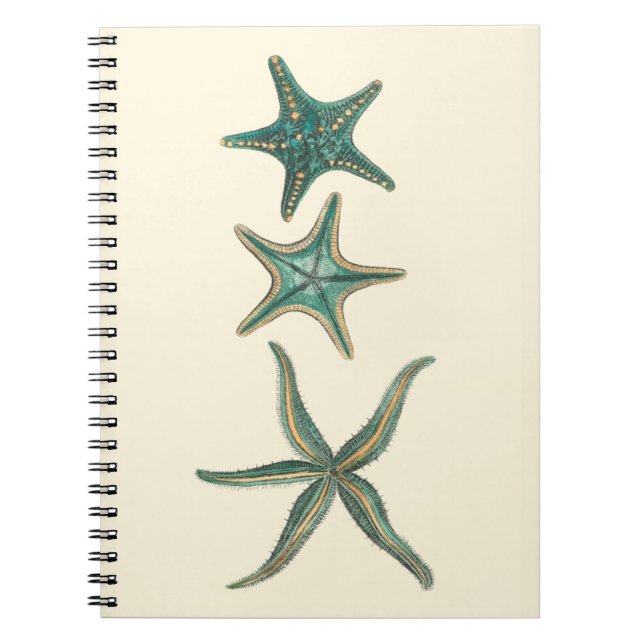 Caderno Espiral Aquamarine Triple Starfish (Frente)