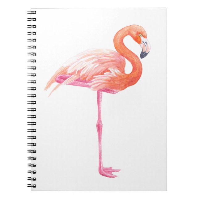 Caderno Espiral Aquarela Flamingo (Frente)