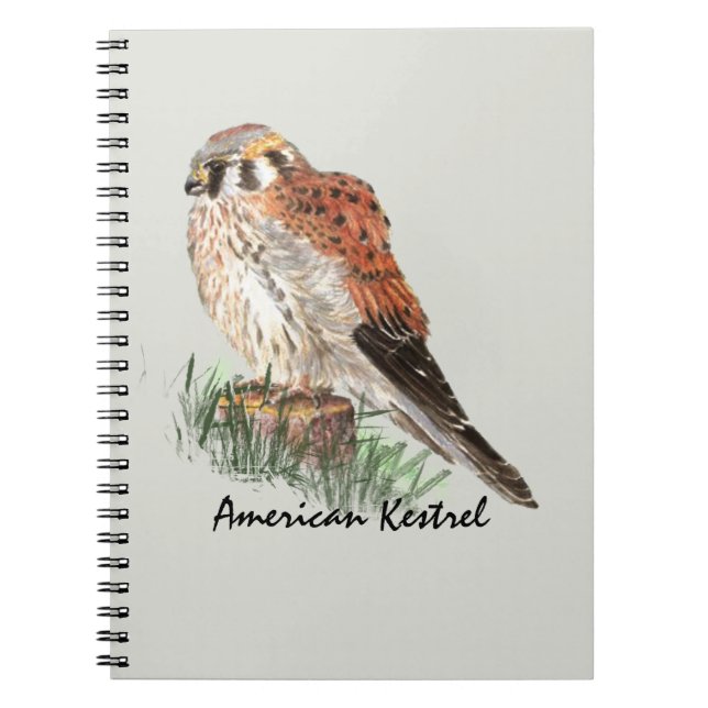 Caderno Espiral Aquarela Kestrel Falcon Bird Nature Art (Frente)