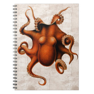 Caderno Espiral Aqui haja monstro