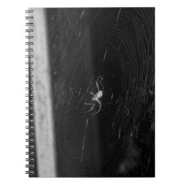 Caderno Espiral Aranha de porão