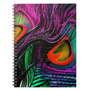 Caderno Espiral Arco-íris de penas de punho