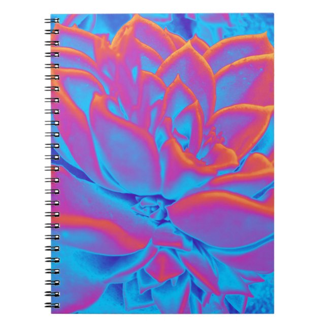 Caderno Espiral Arco-íris - Planta suculenta (Frente)