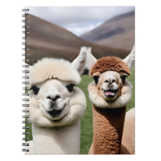 Caderno Espiral Área de transferência