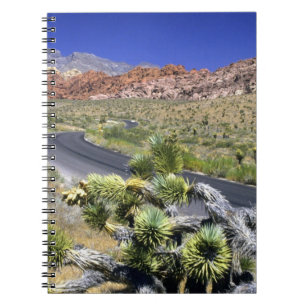 Caderno Espiral Área Nacional de Conservação do Red Rock Canyon