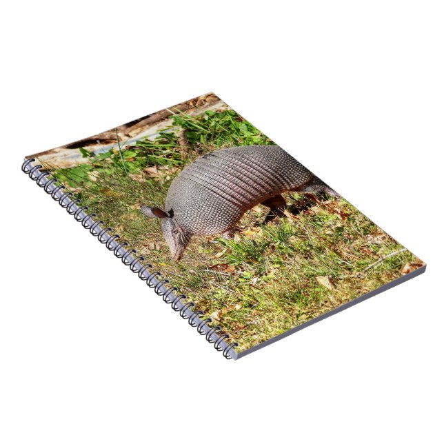 Caderno Espiral Armadillo (Lado Direito)