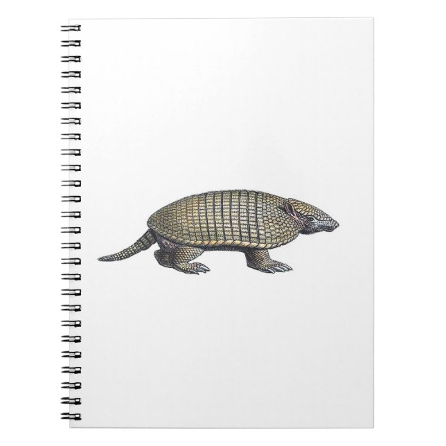 Caderno Espiral Armadillo (Frente)