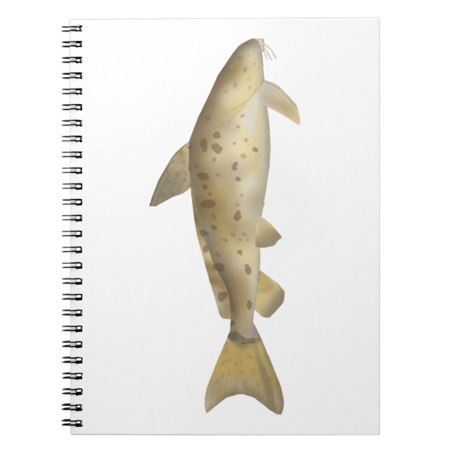 Caderno Espiral Armado (Frente)