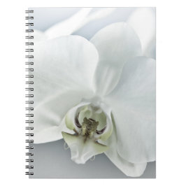 Caderno Espiral Arte Botânica de Orquídea Branca Elegante