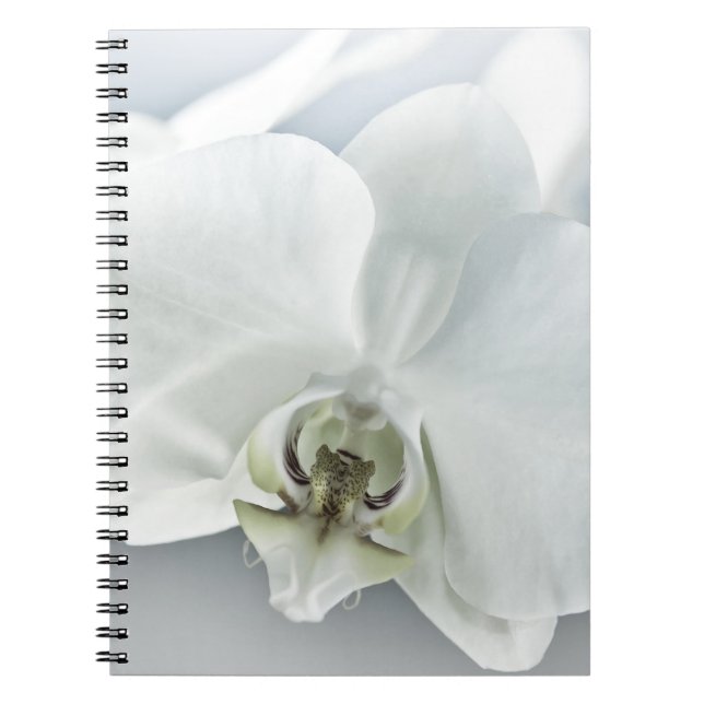 Caderno Espiral Arte Botânica de Orquídea Branca Elegante (Frente)
