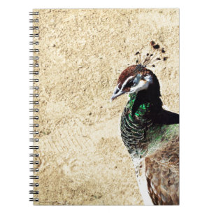 Caderno Espiral Arte de Ave e Pena de Pavão Elegante