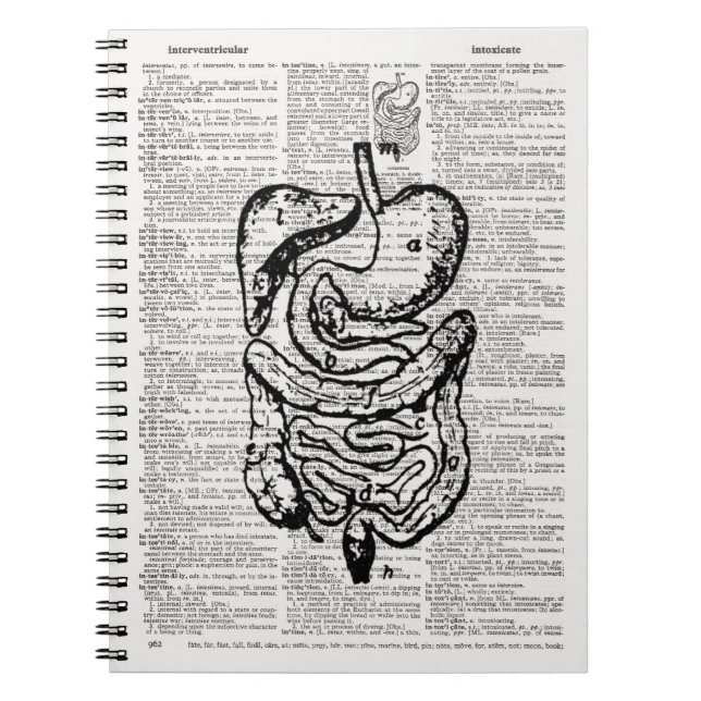 Caderno Espiral Arte de Dicionário de Ilustração Médica (Frente)
