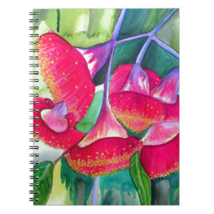 Caderno Espiral Arte de florescência vermelha australiana da