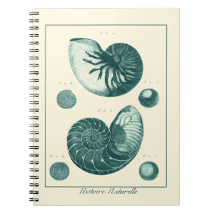 Caderno Espiral Arte de Seashell Vermelha e Verde