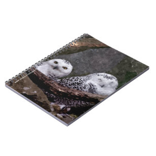 Caderno Espiral Arte de vida selvagem da floresta com casal de cor