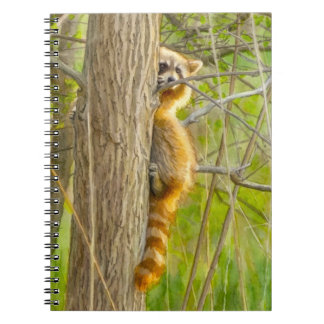 Caderno Espiral Arte em Aquarela de Guaxinim Curioso