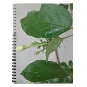 CADERNO ESPIRAL ARTE FLOR NATURAL PARA PRESENTE 2026