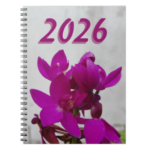 CADERNO ESPIRAL ARTE FLOR NATURAL PARA PRESENTE 2026